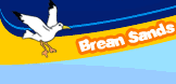 Seagull - Bream Sands