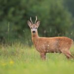 Surround yourself with nature at Northam Farm